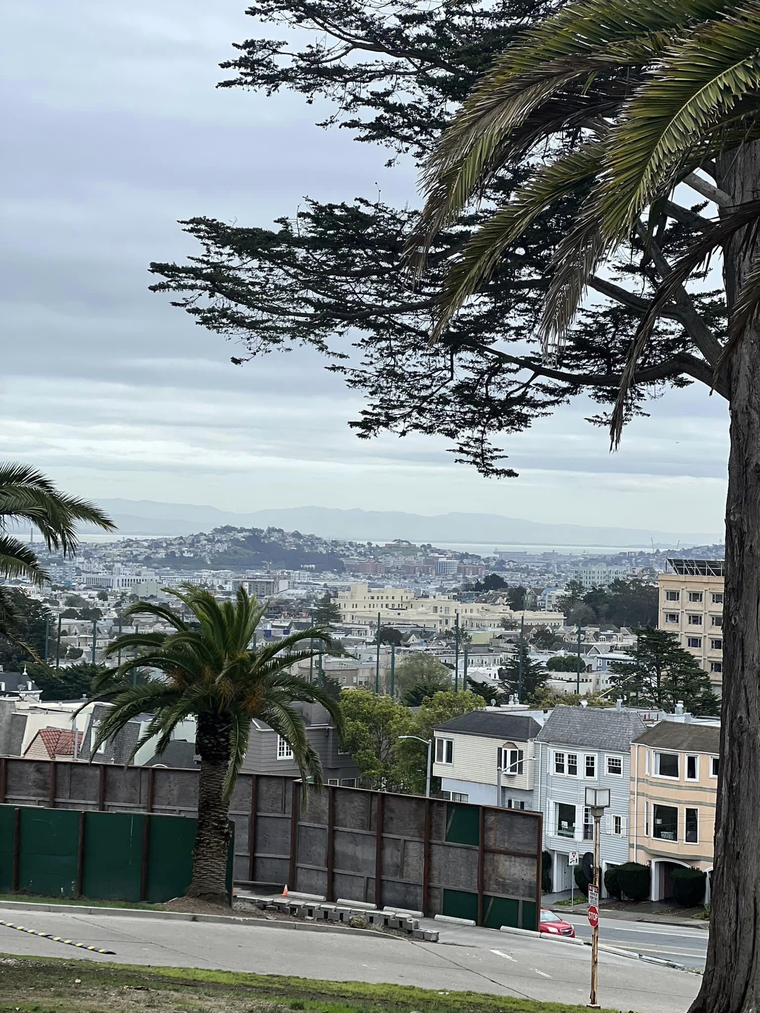 university of san francisco campus