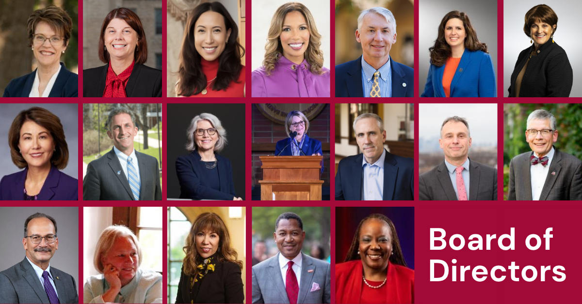 board of directors headshots