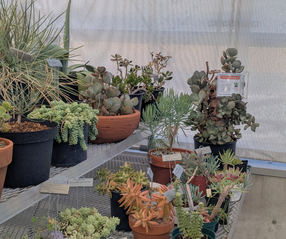 Earth Day greenhouse event