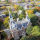 Mercer University