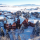 University of Montana Western